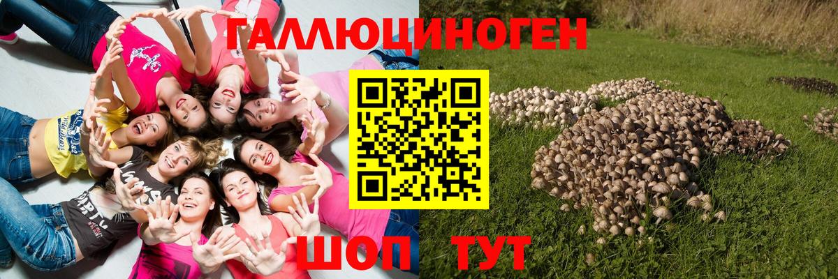 Псилоцибиновые грибы прущие грибы Обь