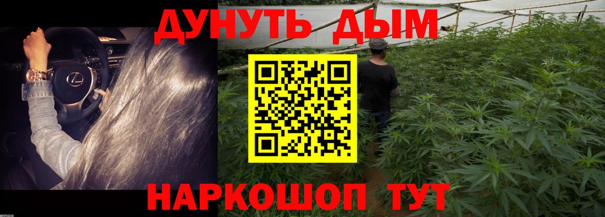 Бошки Шишки план Обь